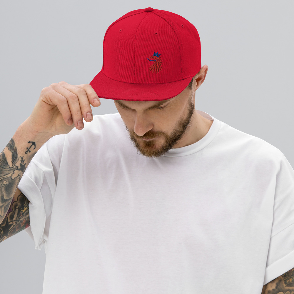 Snapback-keps - Bild 11